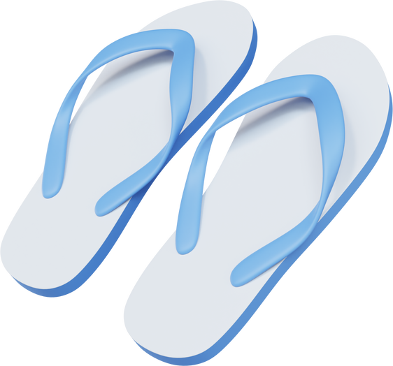 slippers 3d illustration